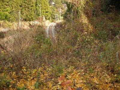 f0308898_17084891.jpg