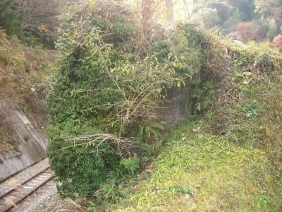 f0308898_17102801.jpg
