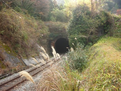 f0308898_17102836.jpg