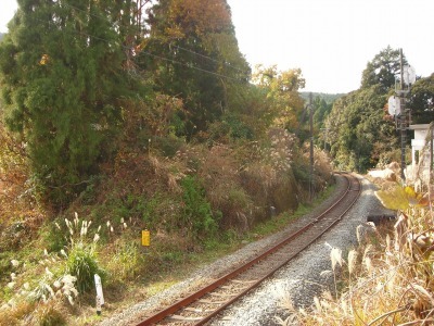 f0308898_17114892.jpg