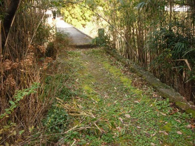 f0308898_17162611.jpg