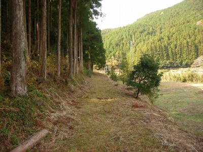 f0308898_17180874.jpg