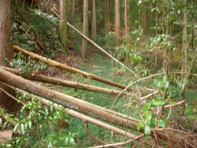 f0308898_17180988.jpg