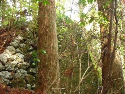 f0308898_17180994.jpg