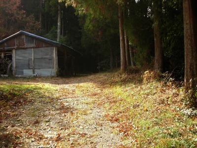 f0308898_17192981.jpg