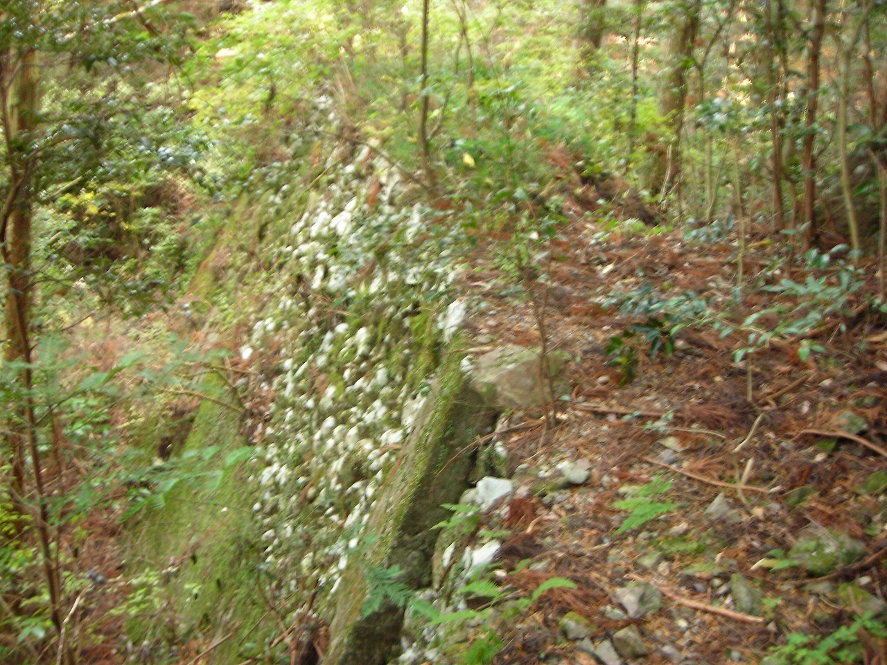 f0308898_17193005.jpg