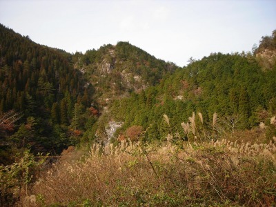 f0308898_17282517.jpg