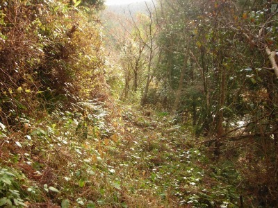 f0308898_17311241.jpg