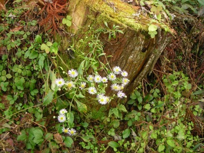 f0308898_17311269.jpg