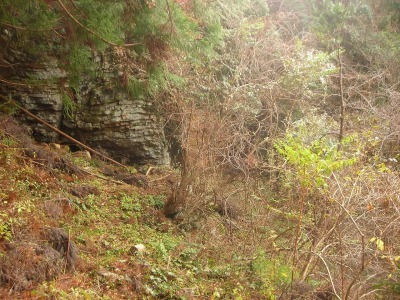 f0308898_17311282.jpg