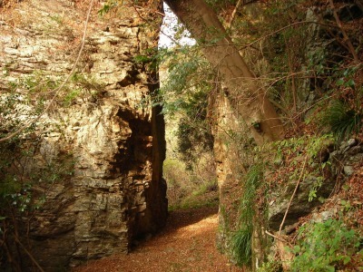 f0308898_17311316.jpg