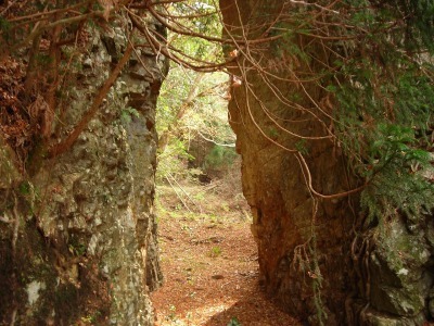 f0308898_17311358.jpg