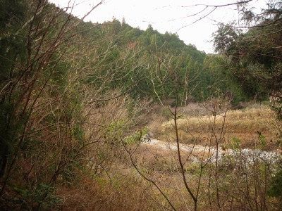 f0308898_17311458.jpg