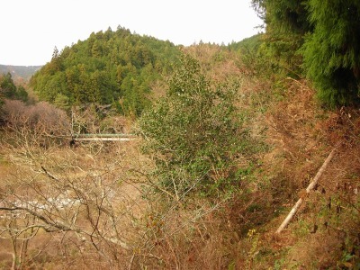 f0308898_17331141.jpg