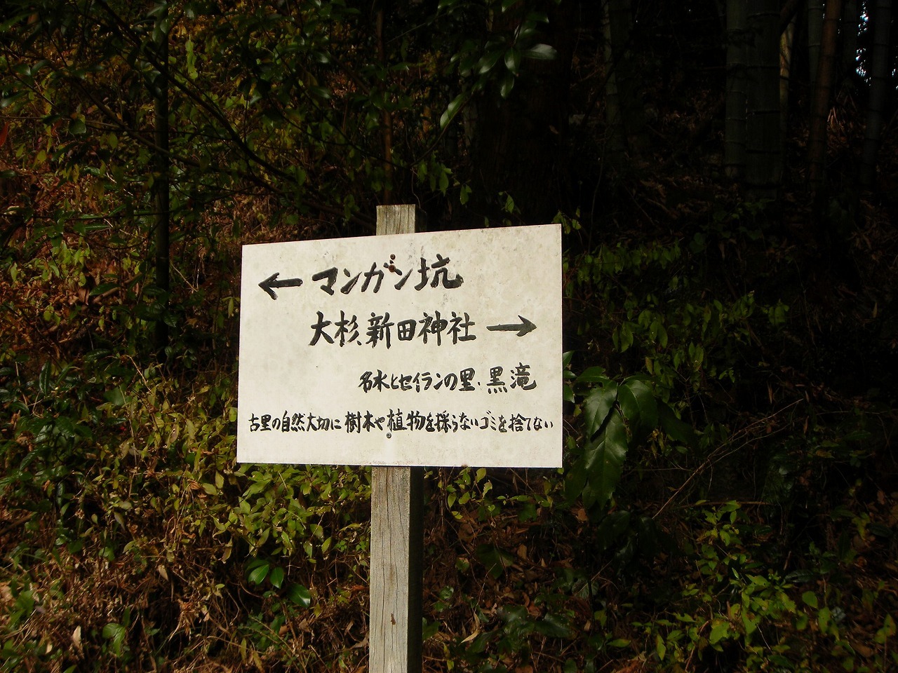 f0308898_17361485.jpg