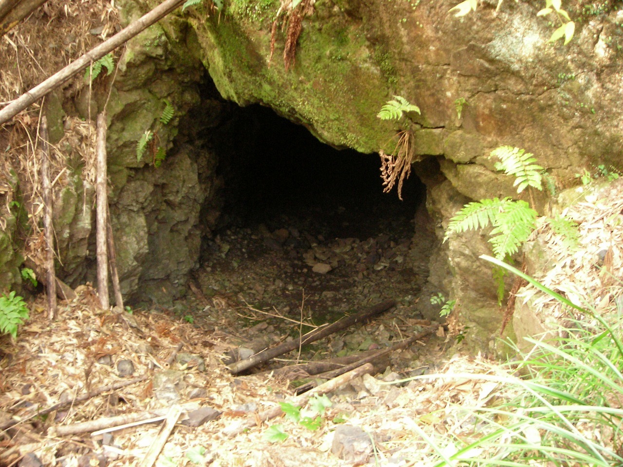 f0308898_17361582.jpg