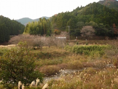 f0308898_17371905.jpg