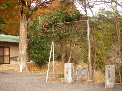 f0308898_17371916.jpg