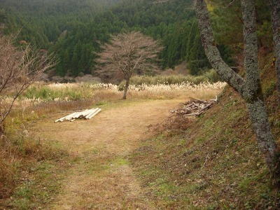 f0308898_17410626.jpg