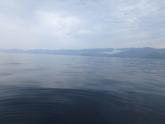 b0137704_22184716.jpg