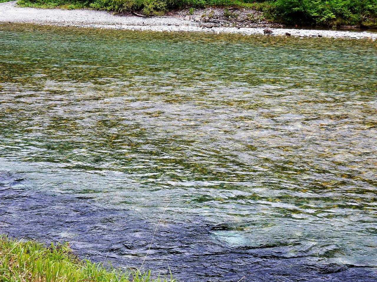 a0148206_21053298.jpg