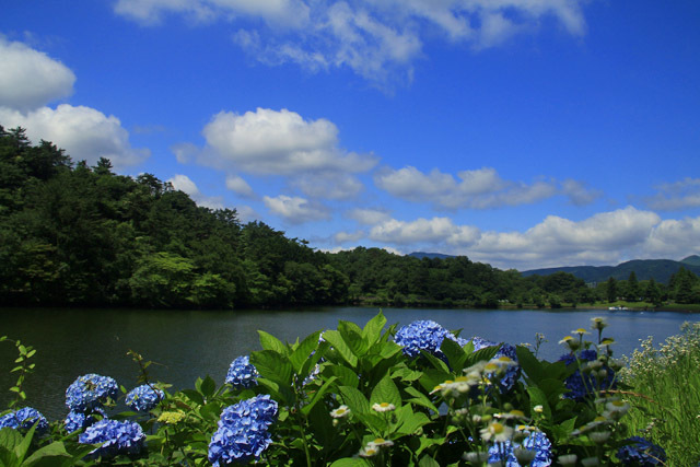 b0014607_17071120.jpg