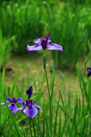 b0014607_17073337.jpg
