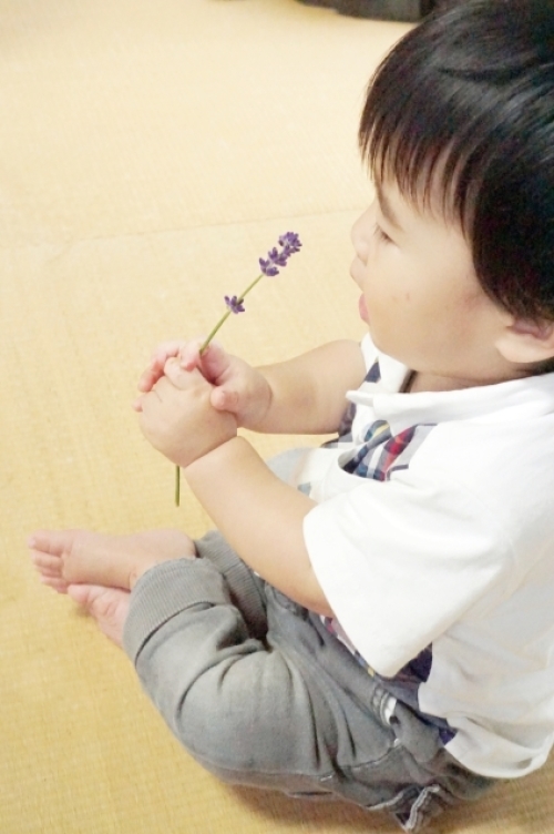 孫の病気は堪える_b0151911_23543849.jpg