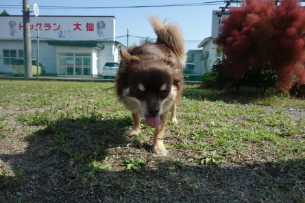 気持ちの良い日曜日☀_f0170713_12292725.jpg