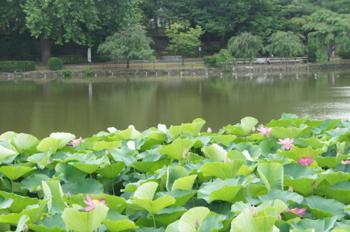 f0215714_16395674.jpg