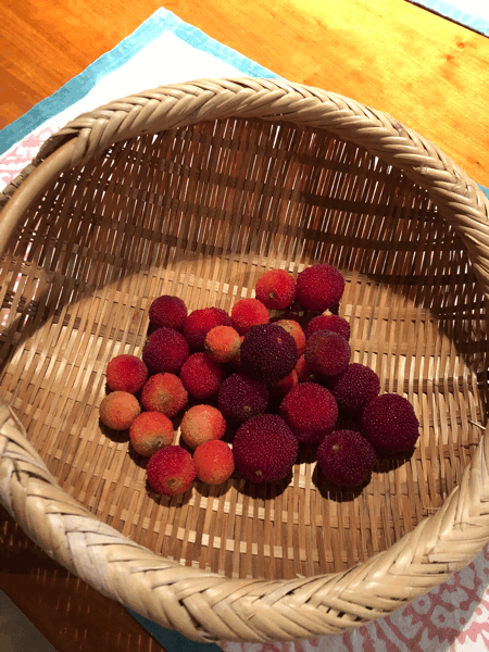 b0268815_21531524.gif