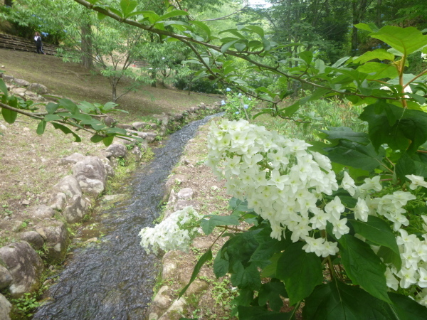 d0170615_20461216.jpg