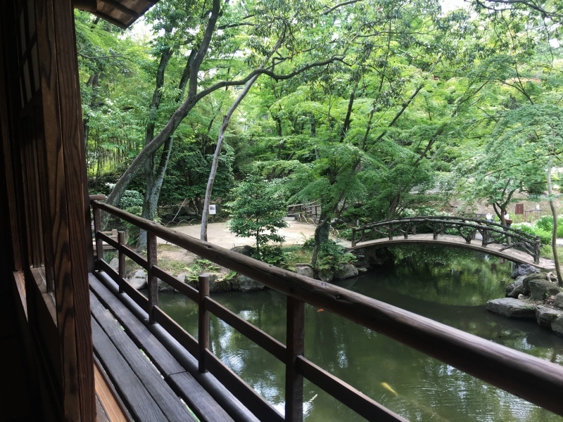 お花と青モミジに囲まれて_b0220318_13350259.jpg