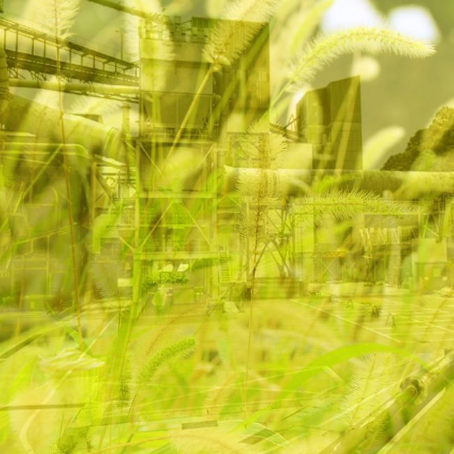 PLANT × PLANT <植物は誰の工場なの?>_a0329820_17021764.jpg