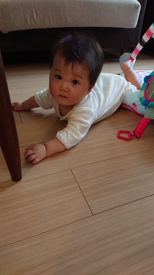 d0162225_21362897.jpeg