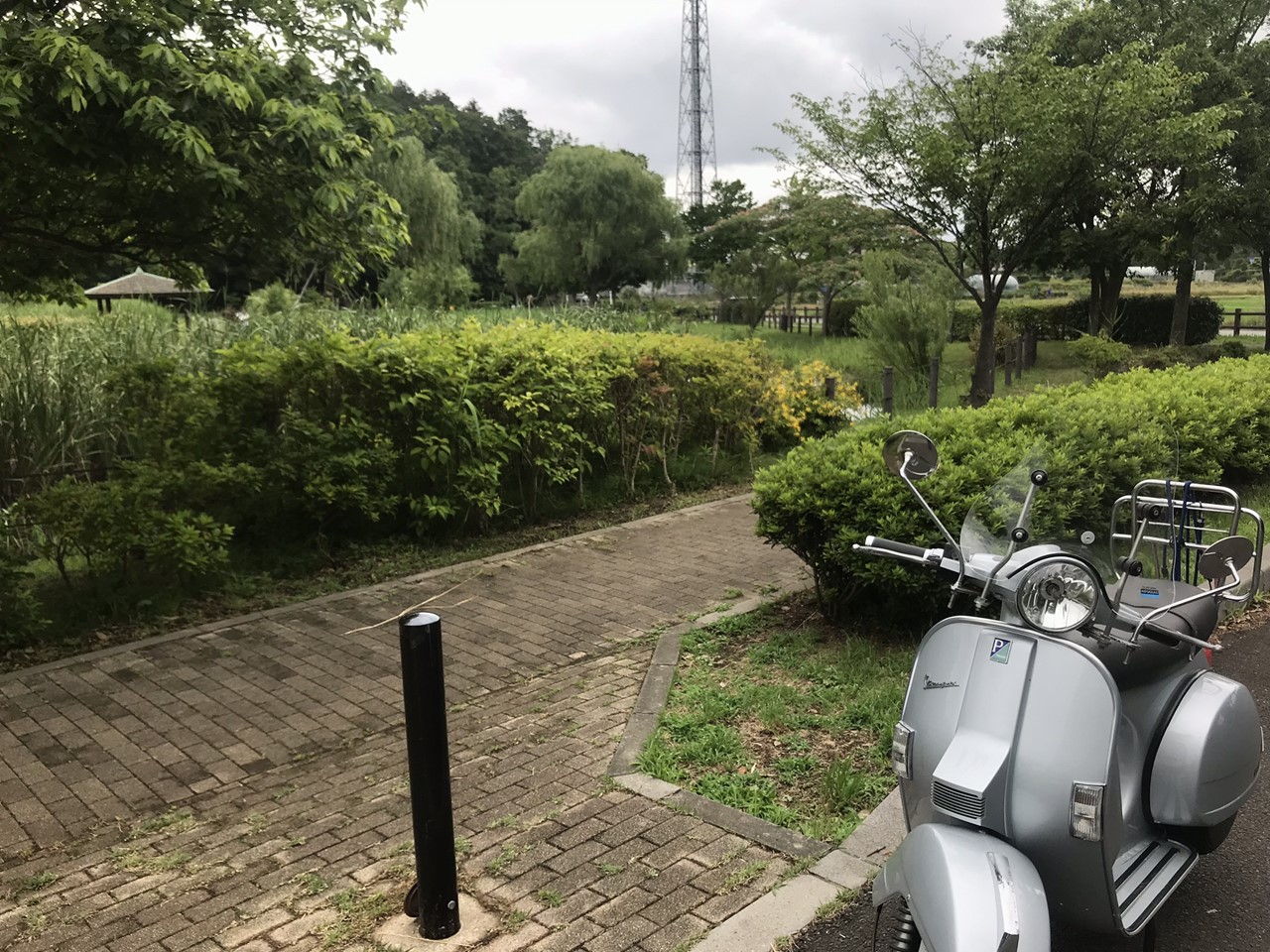無い。これも無い。けどね_f0225627_20322485.jpg
