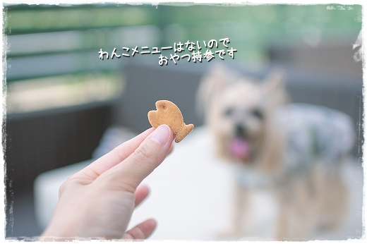 d0179828_13103184.png