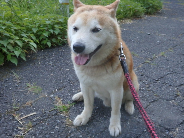 a0054240_21491208.jpg