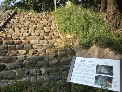 c0227640_07254796.jpg