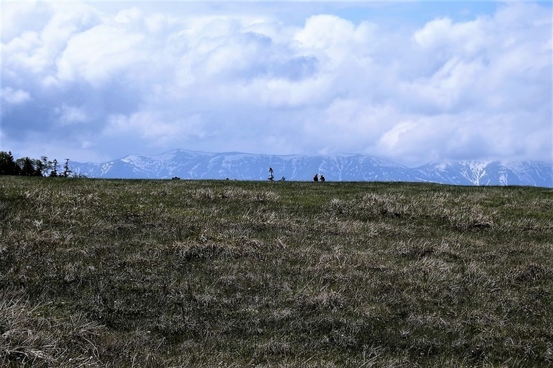 d0347140_10530080.jpg