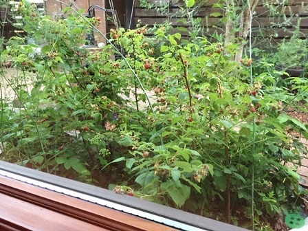 a0272241_17002998.jpeg