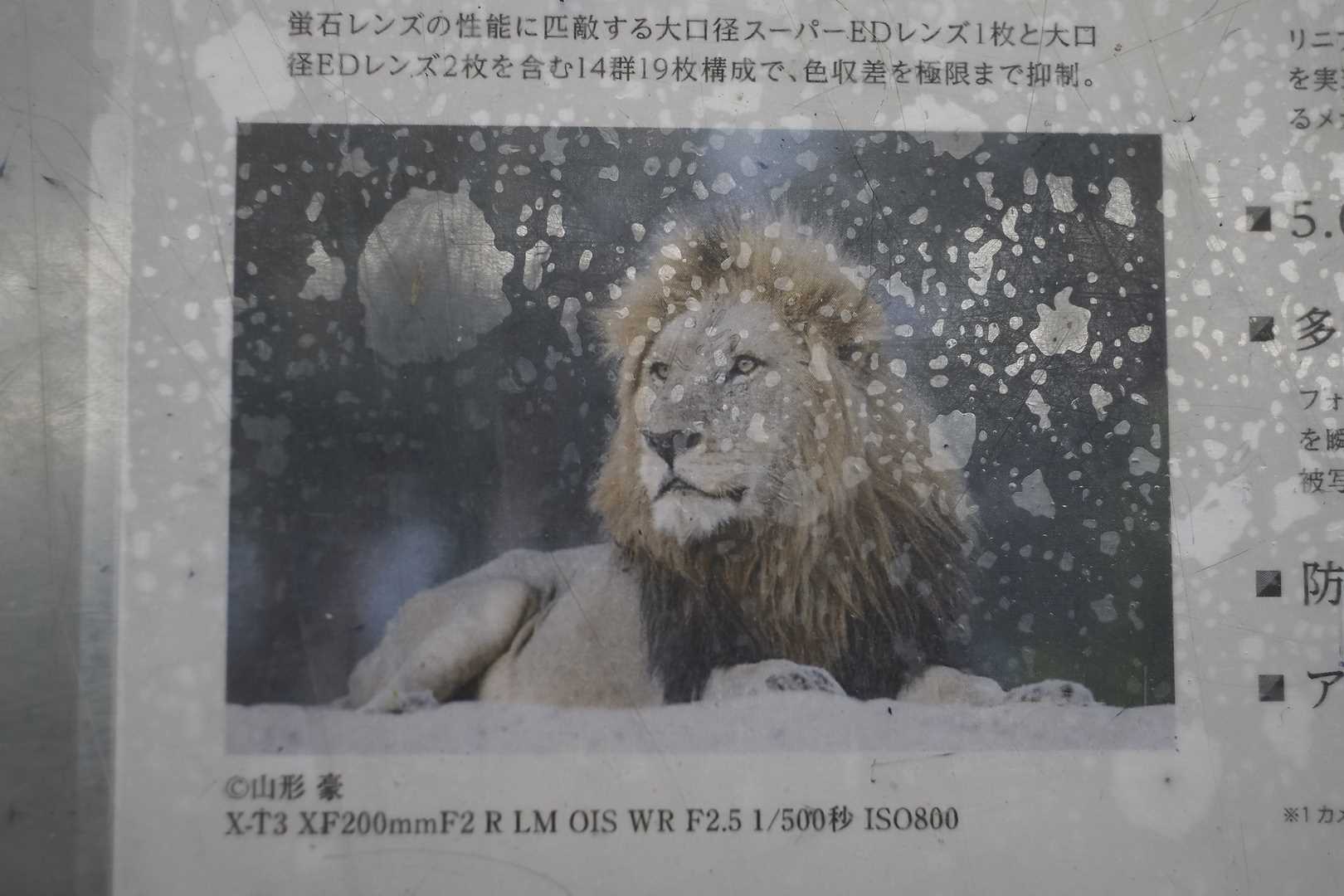 d0349141_13275227.jpg