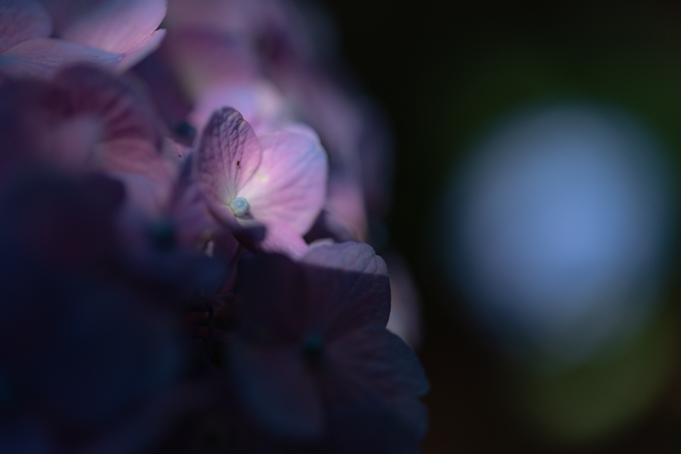 f0158043_20474703.jpg