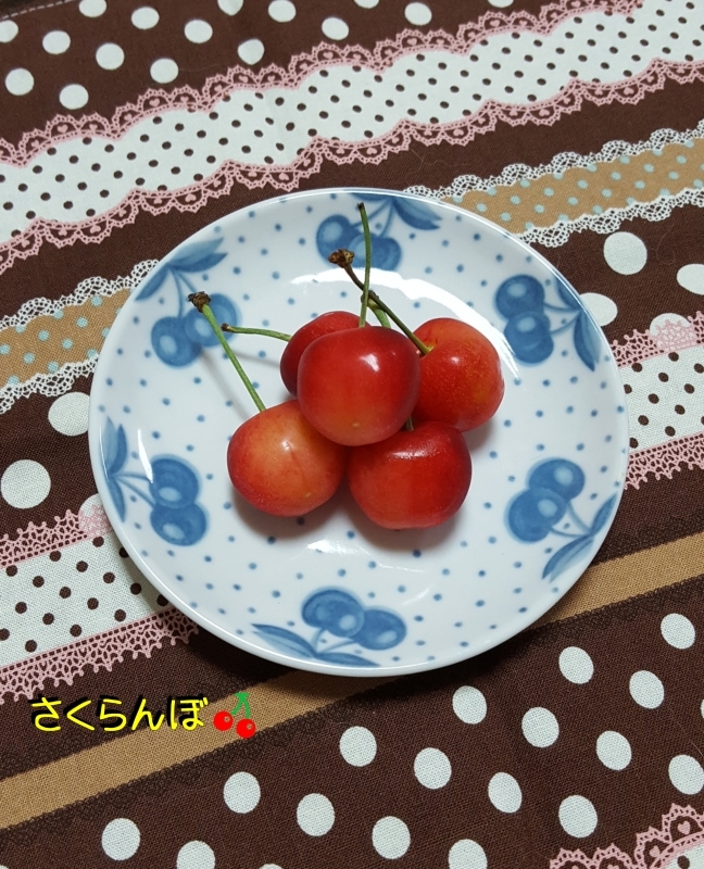 a0353444_20371584.jpg