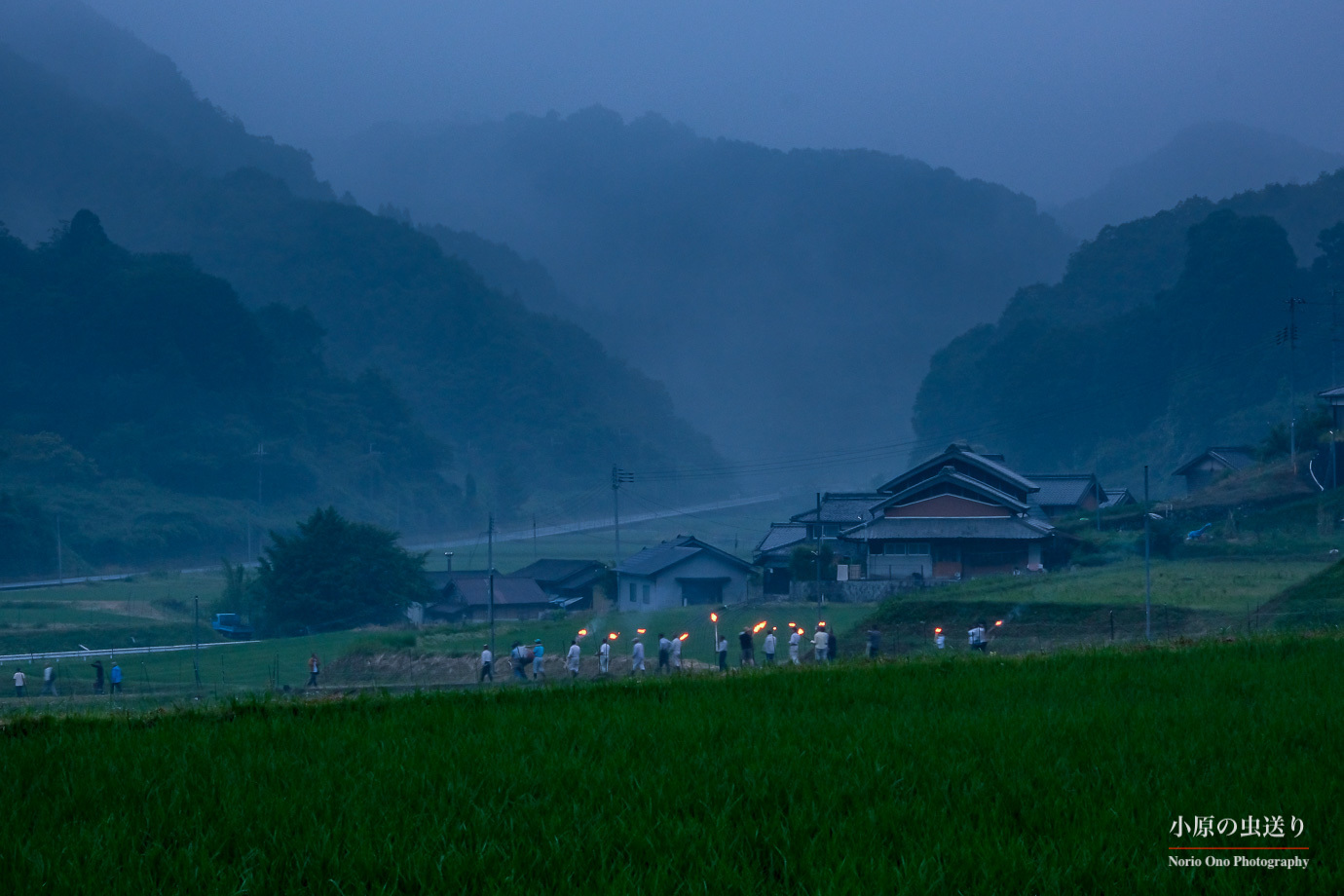 d0058445_08433101.jpg