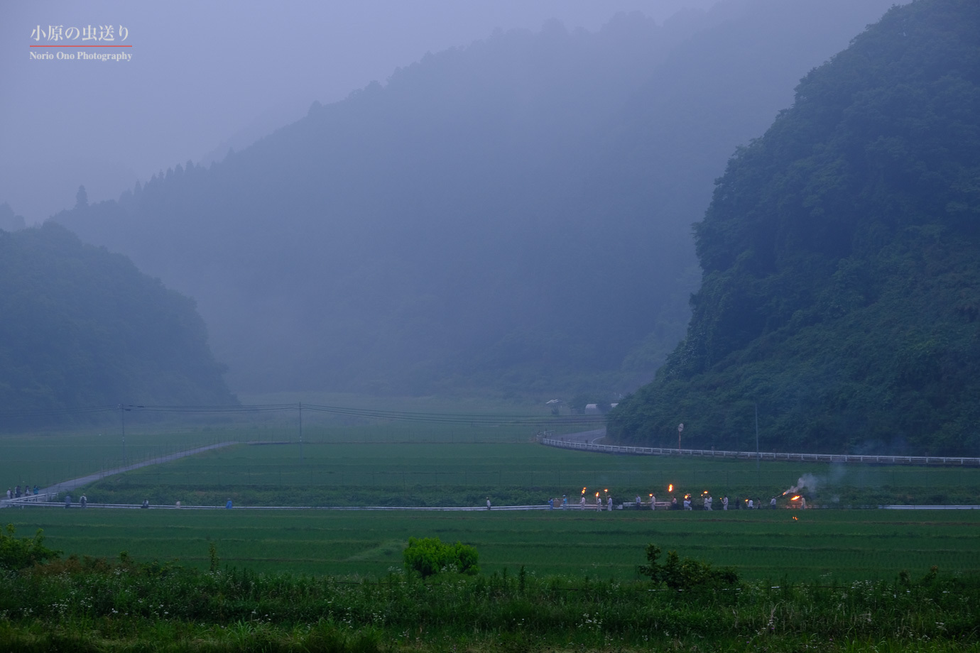 d0058445_08435029.jpg