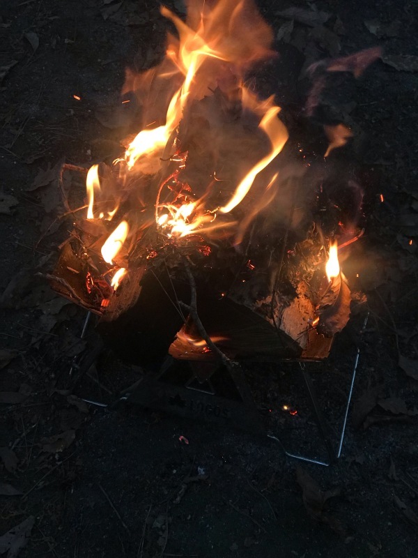 d0342449_22595300.jpeg