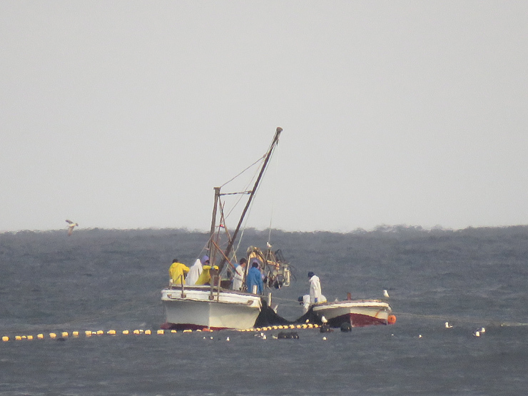 f0214649_01512808.jpg