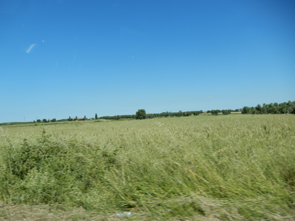 Arrivederci!_d0118050_10071356.jpg