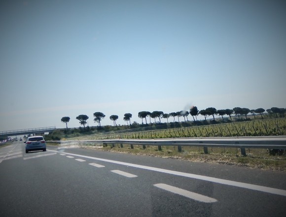 Arrivederci!_d0118050_10120177.jpg